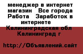 менеджер в интернет магазин - Все города Работа » Заработок в интернете   . Калининградская обл.,Калининград г.